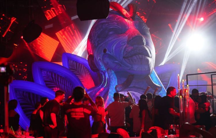 צילום: אביעד ולירון צלמים