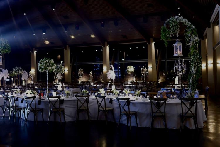 צילום: מיקי סויסה