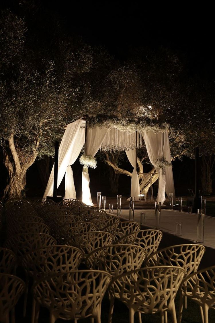 צילום: מיקי סויסה