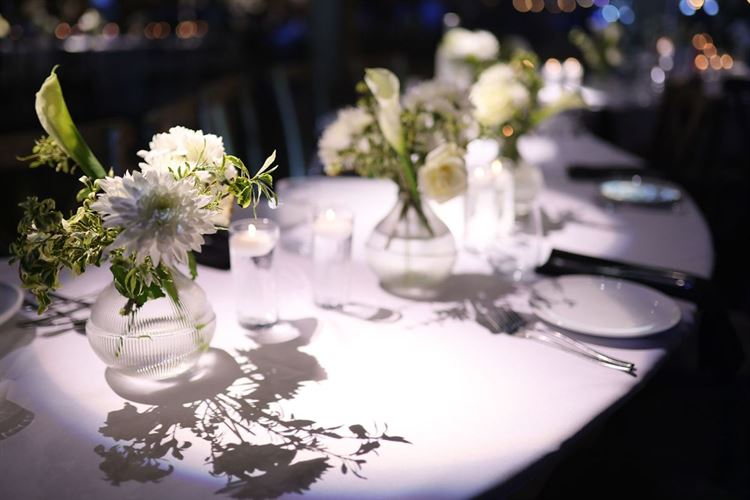 צילום: מיקי סויסה