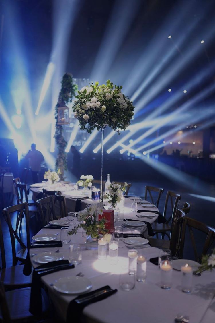 צילום: מיקי סויסה