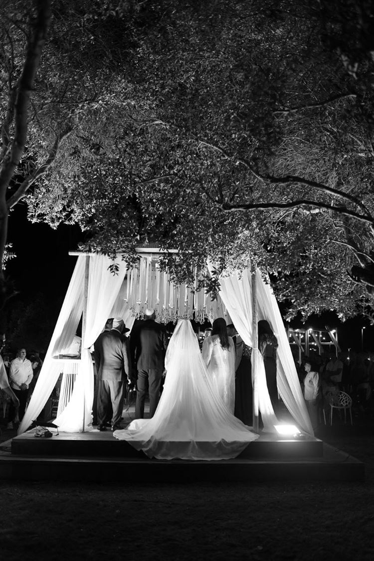 צילום: מיקי סויסה