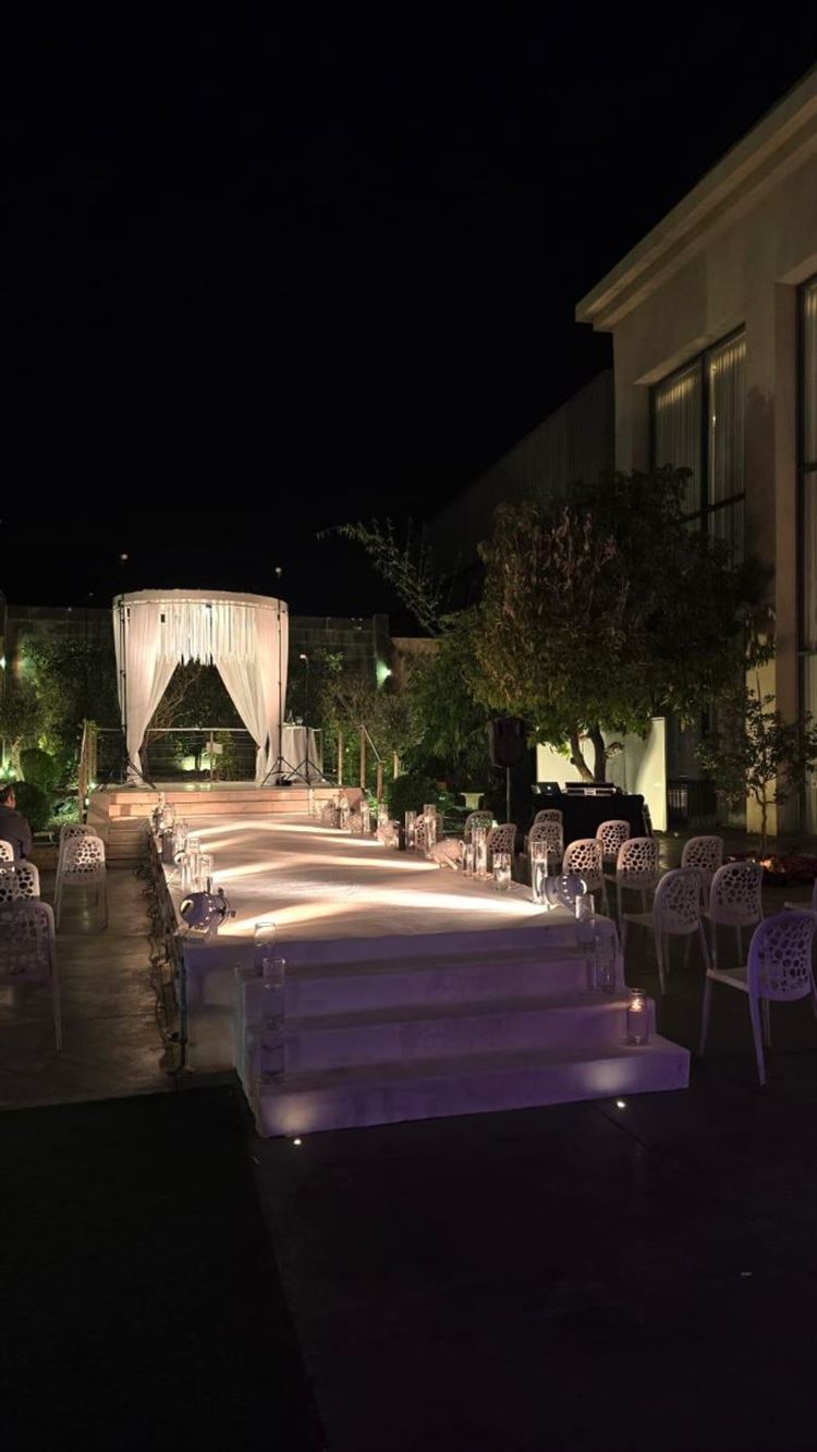 צילום: לירוי דרור