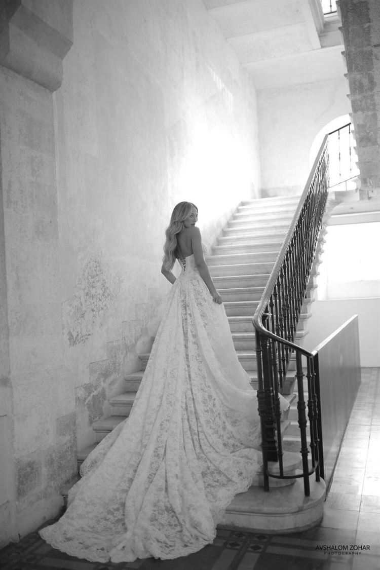 צילום: אבשלום זוהר