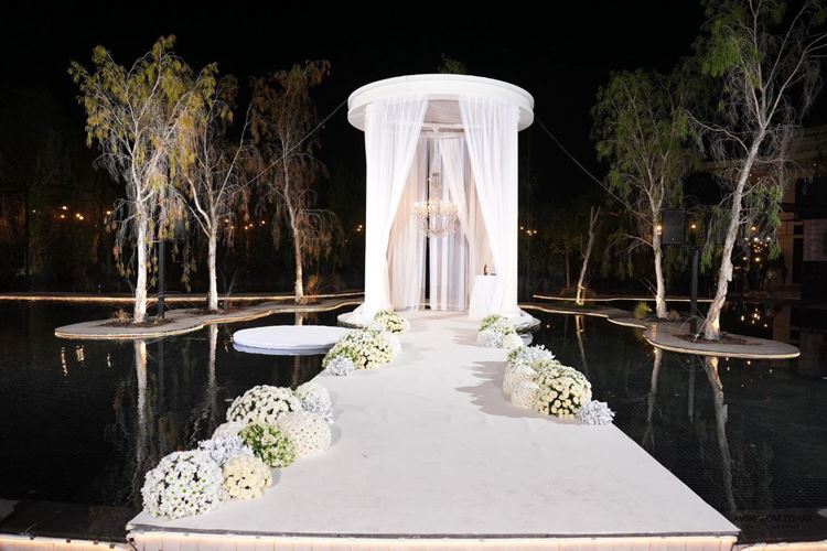 צילום: אבשלום זוהר