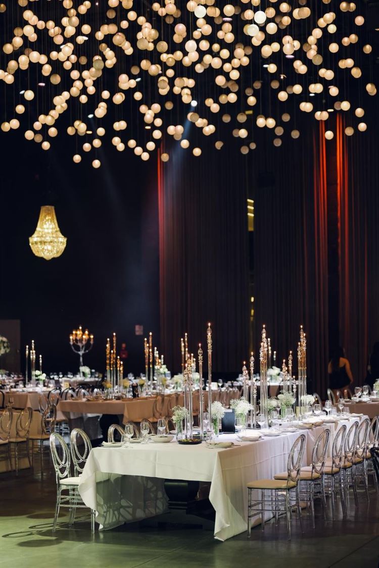 צילום: עמית אוזנה