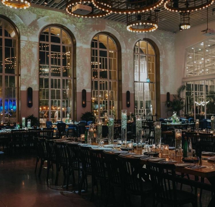 צילום: ברי חיון