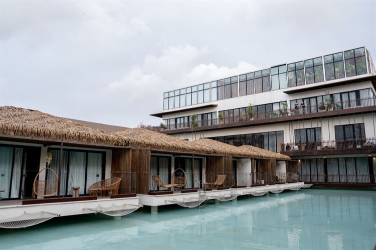 צילום: רון קובי