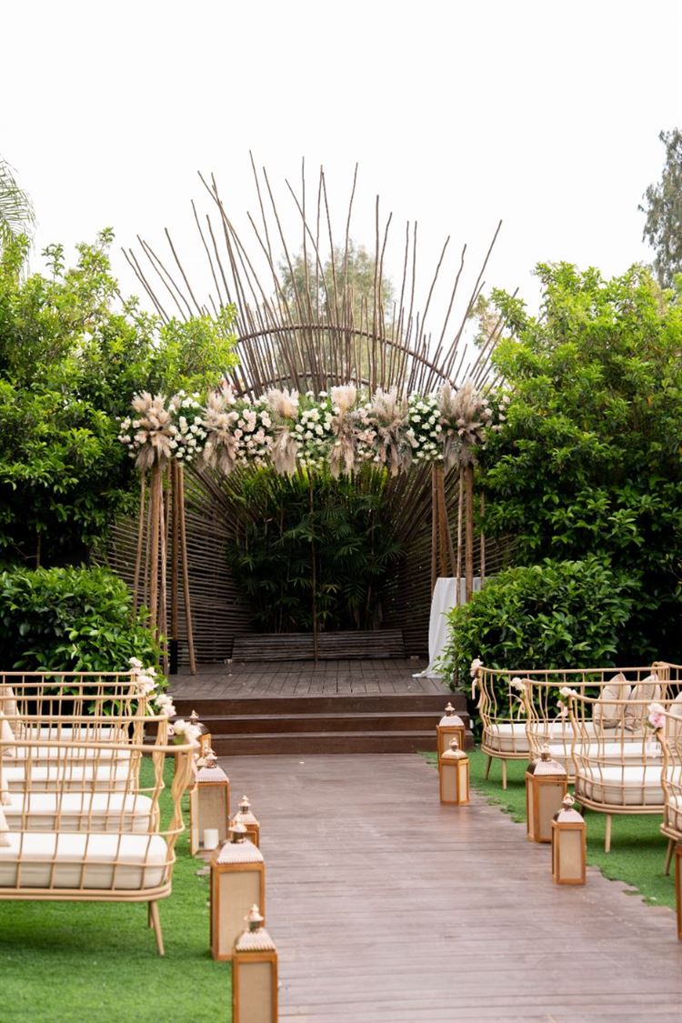 צילום: רון קובי