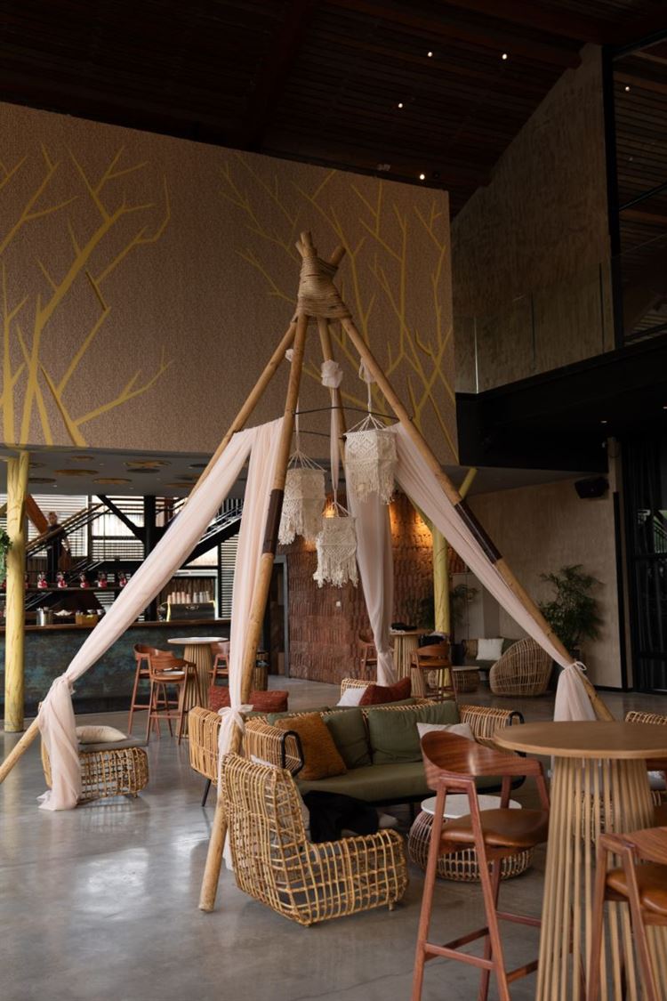 צילום: רון קובי