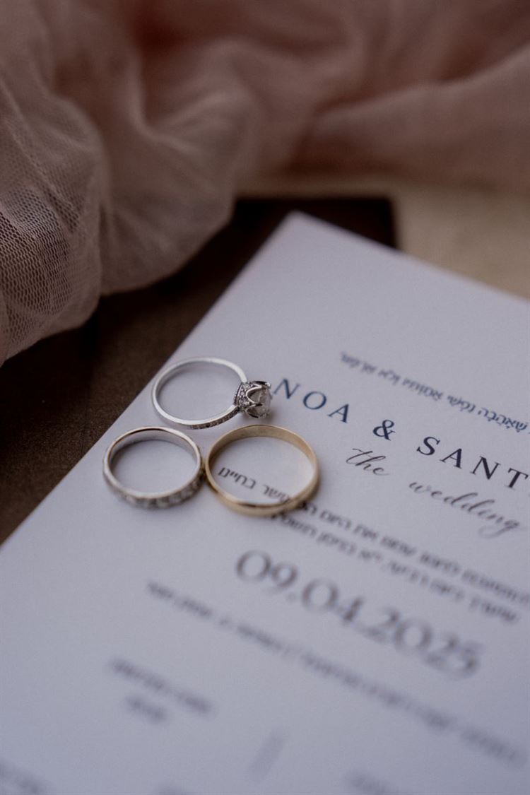 צילום: רון קובי