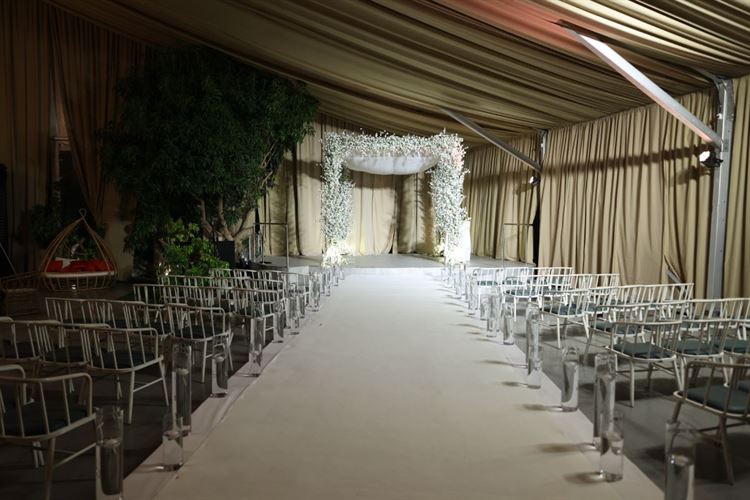 צילום: camellia