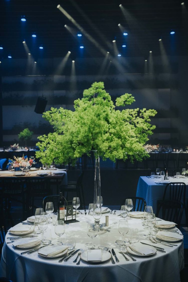 צילום: עידן חסון ואור שדה מברנדו פוטוגרפי