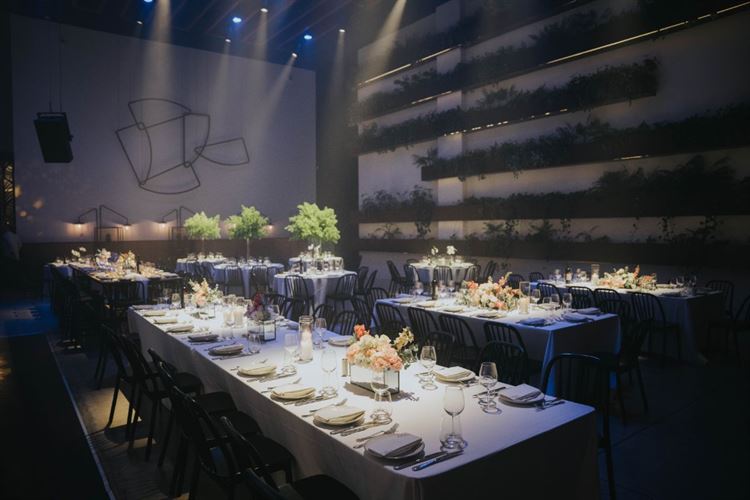 צילום: עידן חסון ואור שדה מברנדו פוטוגרפי