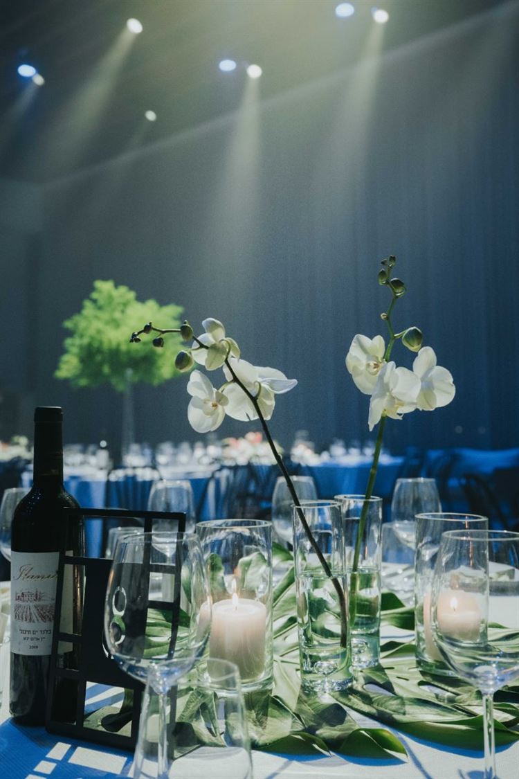 צילום: עידן חסון ואור שדה מברנדו פוטוגרפי