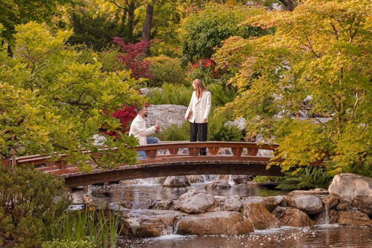 צילום: ברק כהן