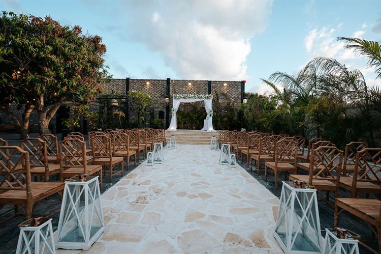 צילום: ברק כהן