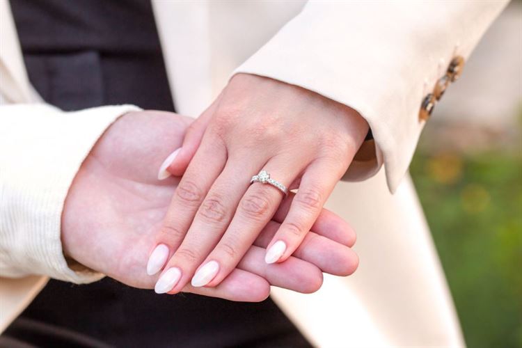 צילום: ברק כהן