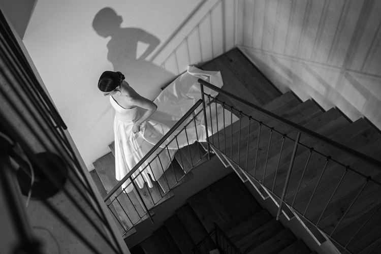 צילום: ברק כהן