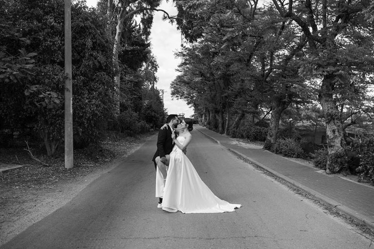 צילום: ברק כהן