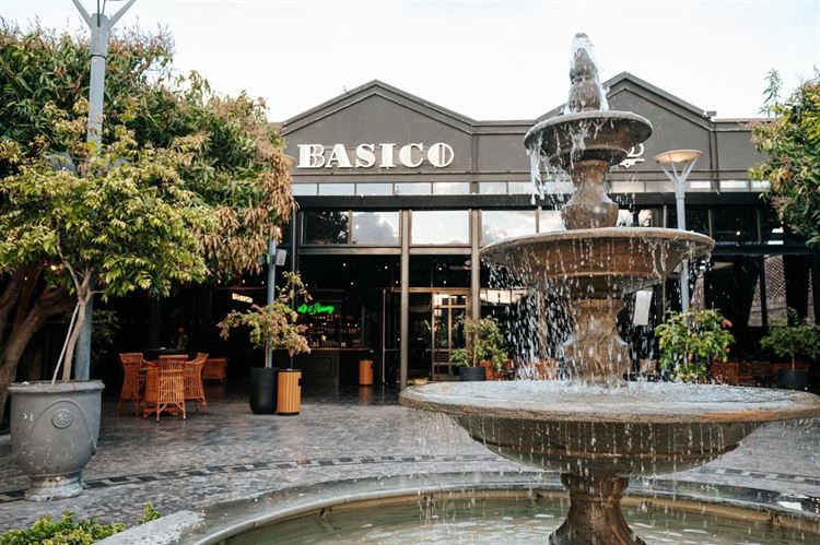 צילום: ברק כהן