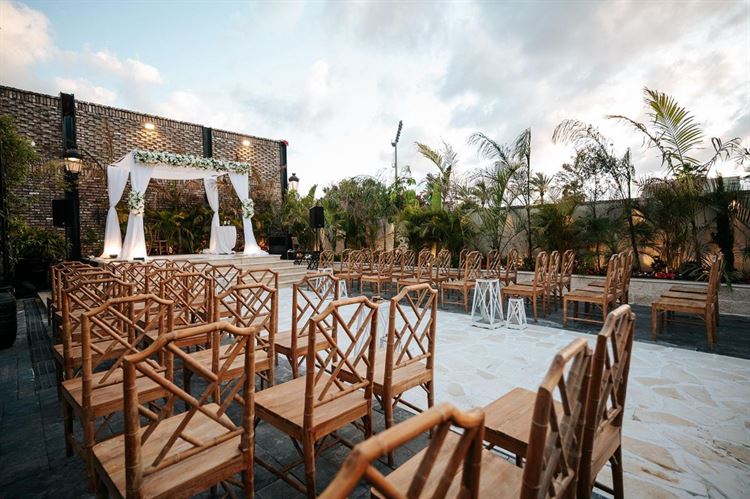 צילום: ברק כהן