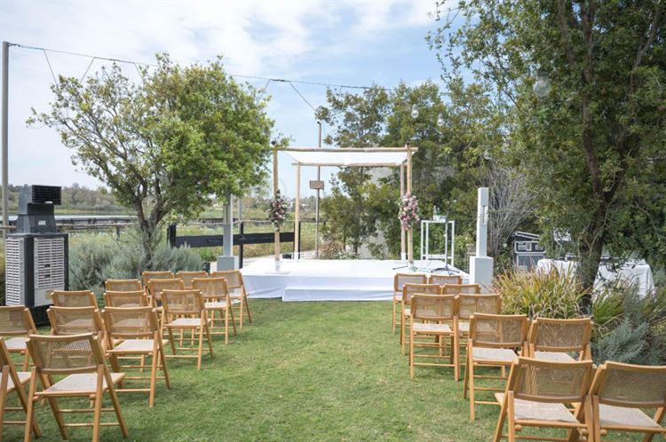 צילום: אלון גרובר