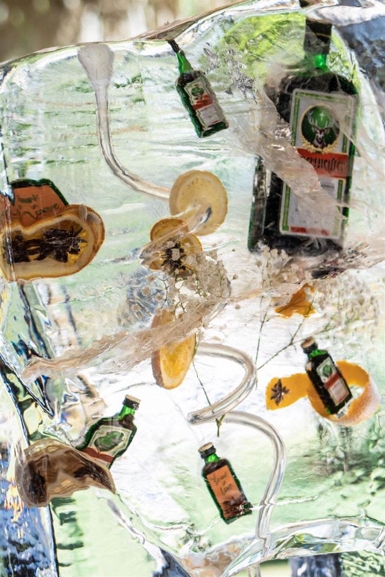 צילום: אלון גרובר