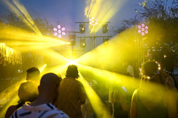 צילום: אלון גרובר