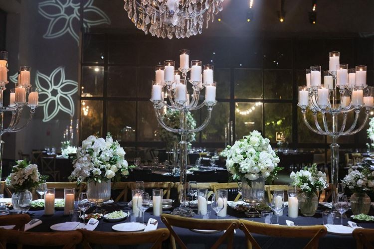 צילום: מיקי סויסה