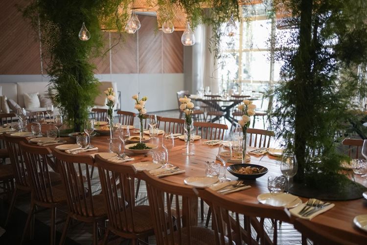 צילום: מיקי סויסה