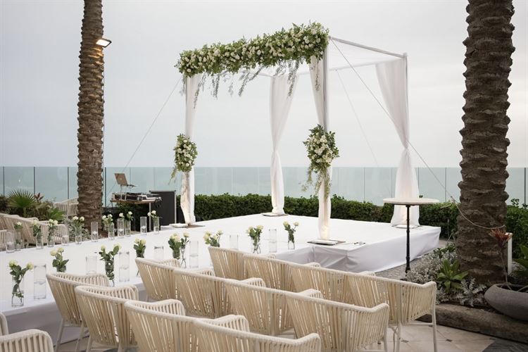 צילום: מיקי סויסה