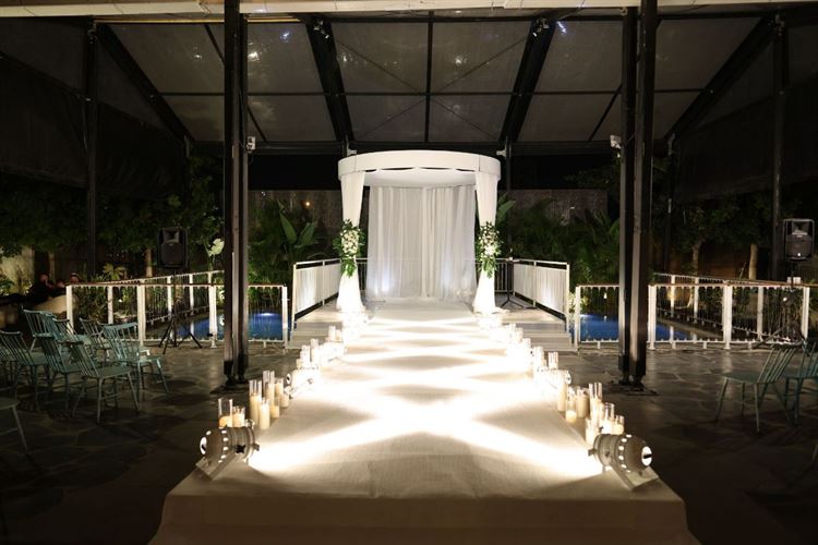 צילום: camellia