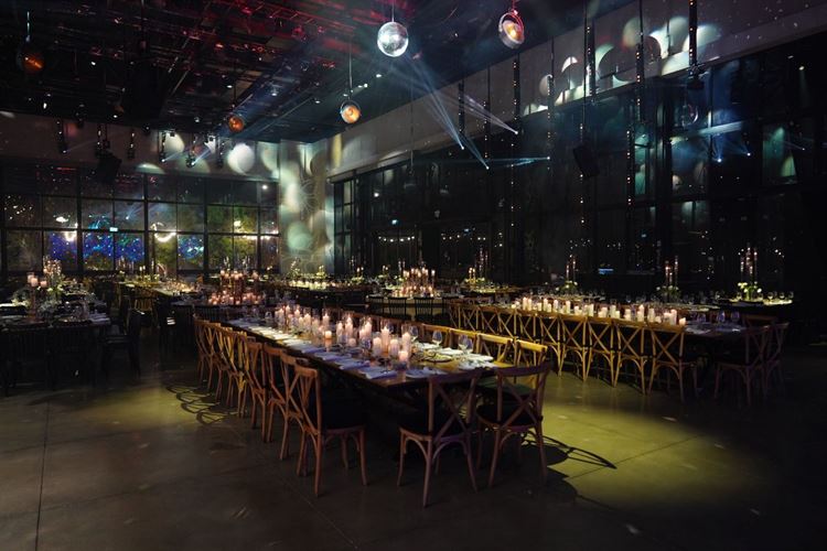 צילום: camellia