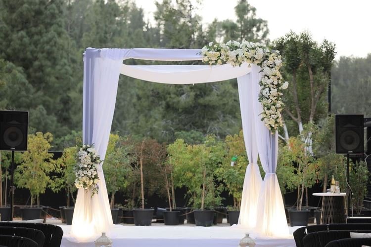 צילום: שחר זינו