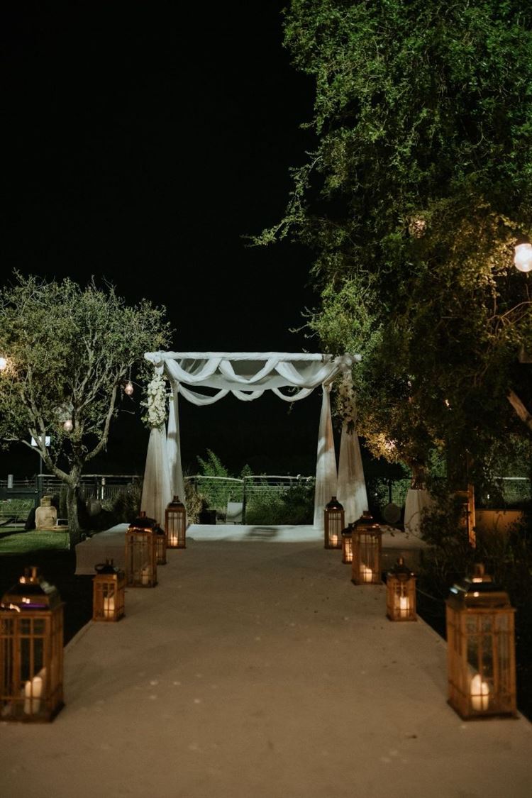 צילום: עידו סיטבון