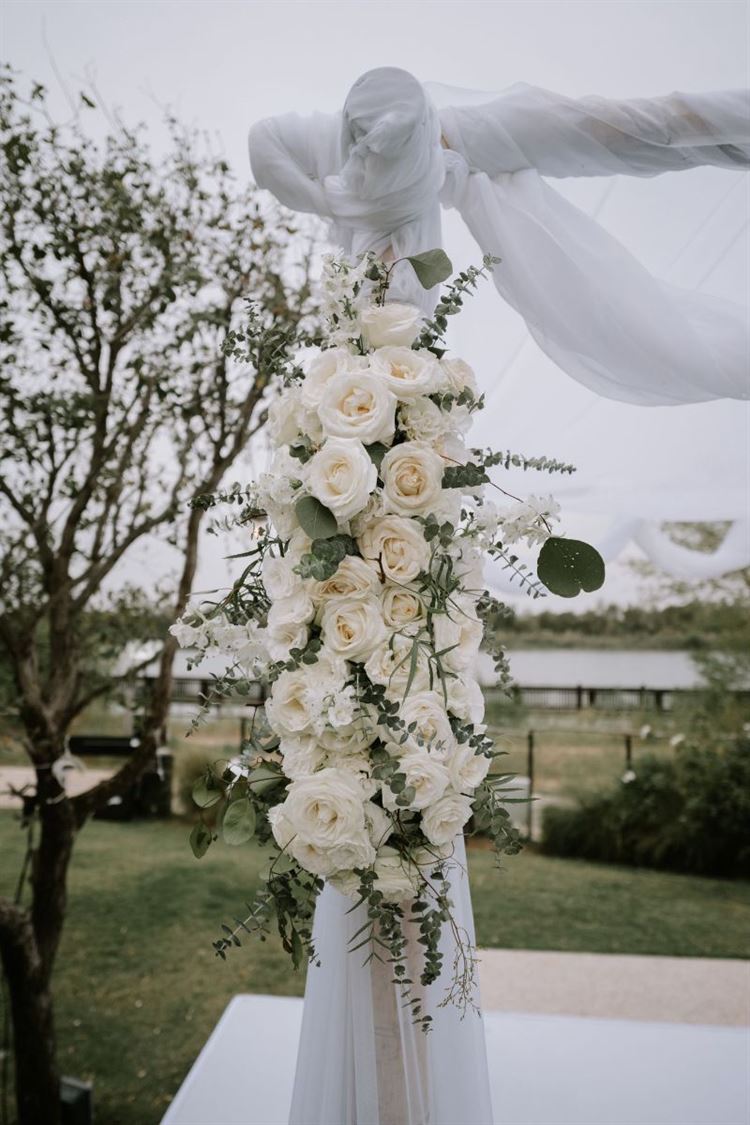 צילום: עידו סיטבון