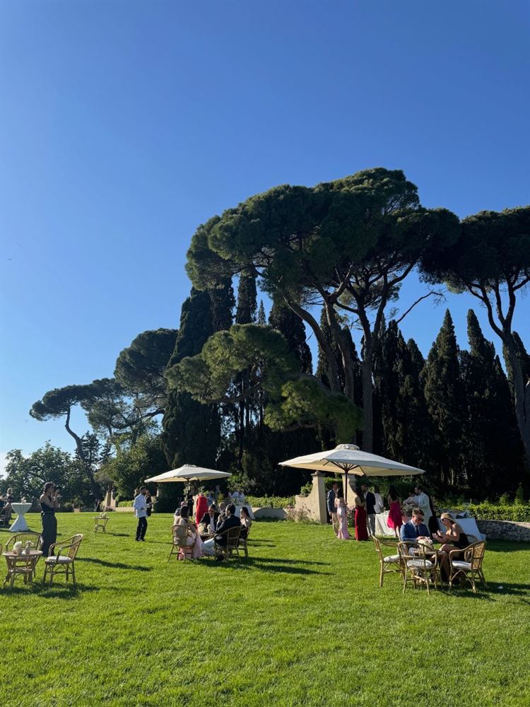 צילום: דניאל שר