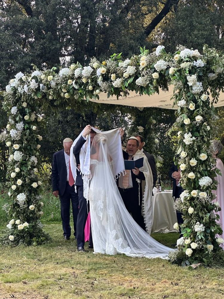 צילום: דניאל שר