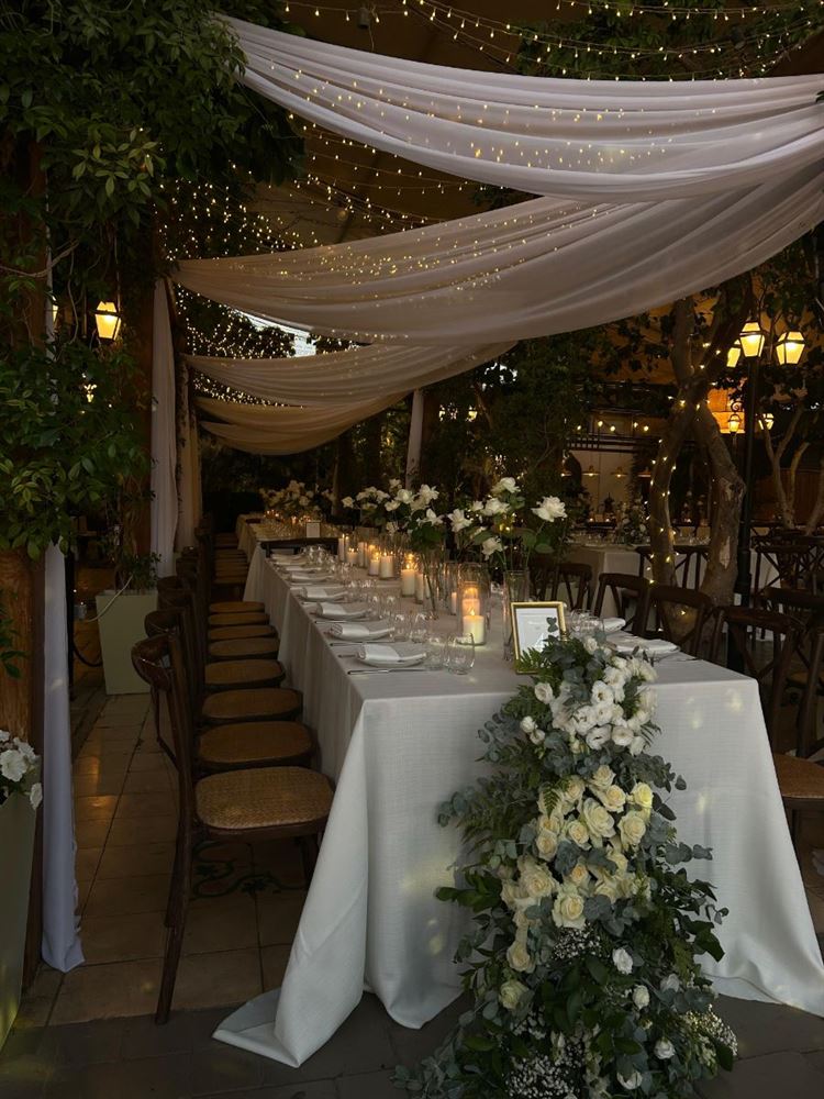 צילום: sher.social