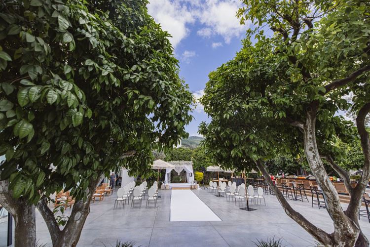 צילום: וואלה מזל טוב