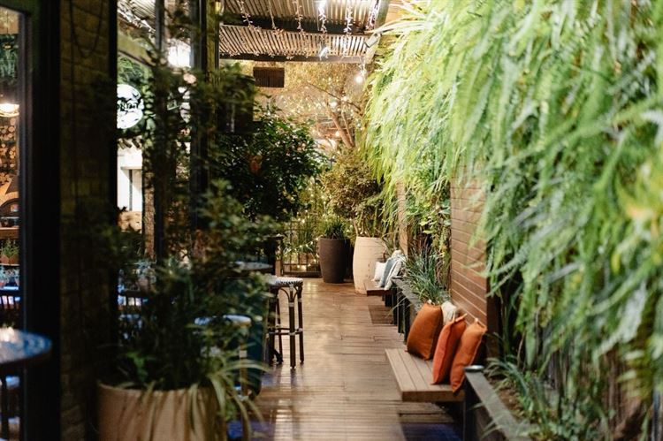 הגלריה. צילום: יח