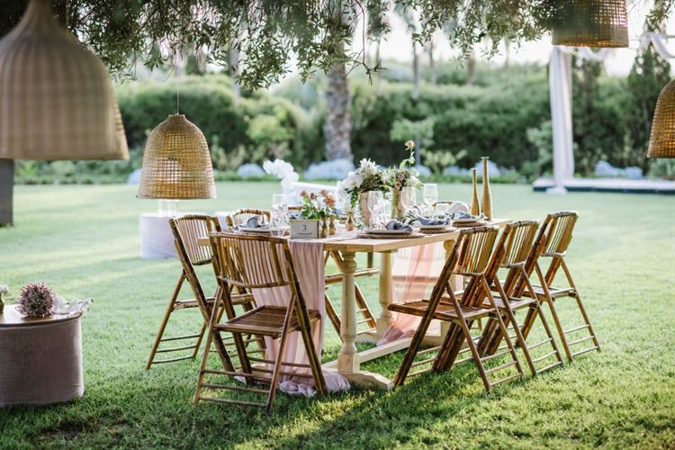 ג'ויה מיה. צילום: יח