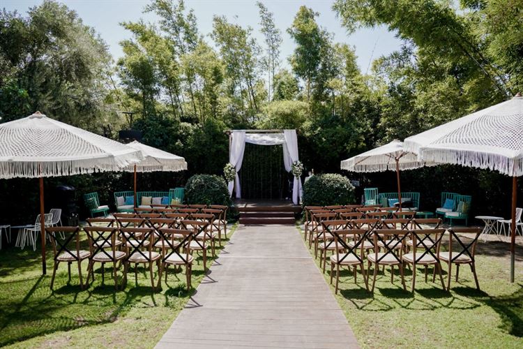 צילום: רון קובי