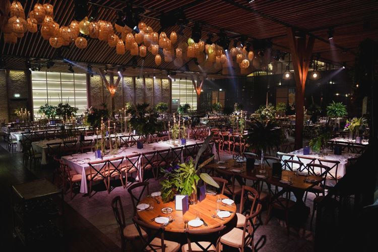 צילום: רון קובי