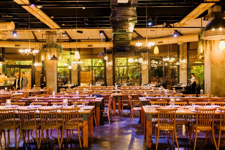 צילום: ניצן גור