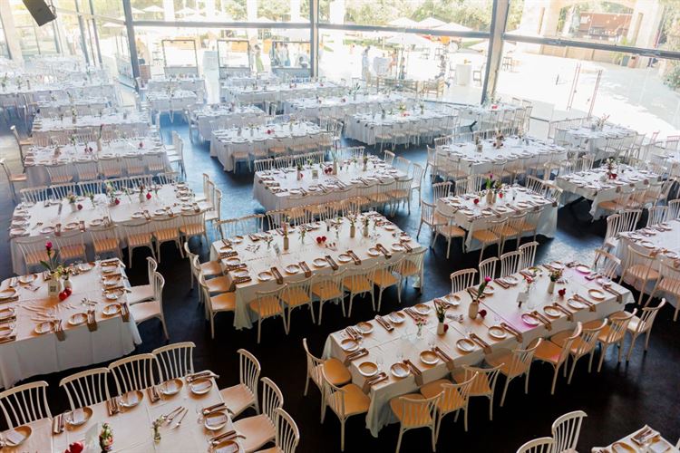 צילום: ניצן גור