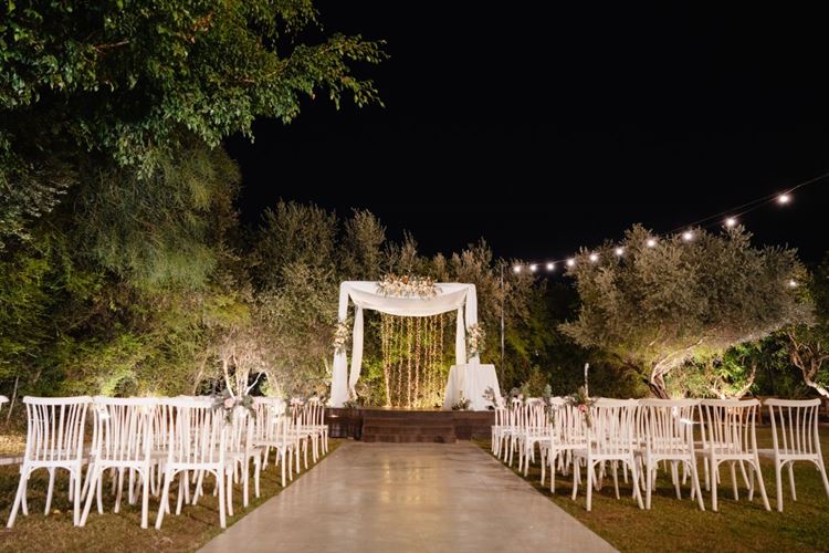 צילום: גיא ניסים