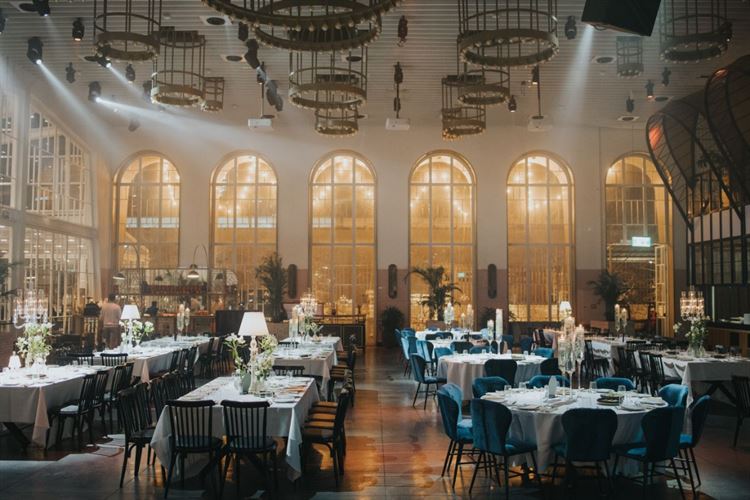 צילום: ברנדו