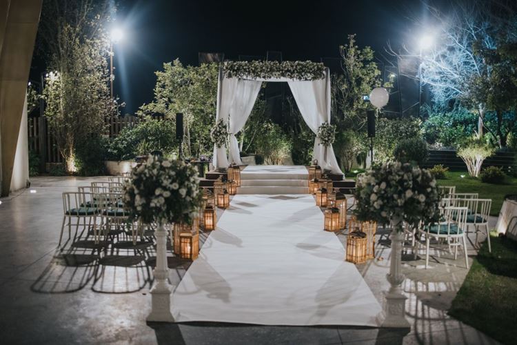 צילום: ברנדו